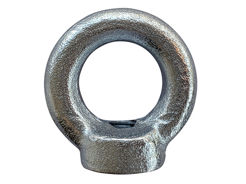 Eye nut, DIN 582, hot dip galv. (M8) in the group Fittings & accessories / Marine / eye bolt and eye screw at Marifix (130902)