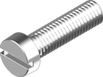 Slotted screw A4, DIN 84 (6 x 10 mm) in the group Fasteners / Screws / Machine screws at Marifix (84-4-6X10)