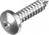Self-tapping screw, pan head TX A4, DIN 9477 (4.8 x 25 mm)